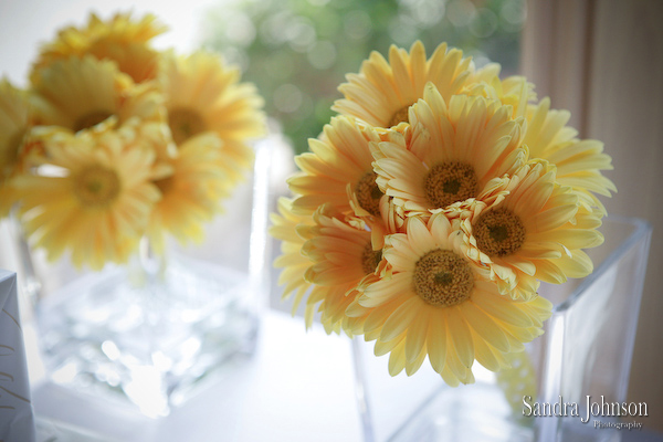 Best Villas of Grand Cypress Wedding photographer - Sandra Johnson (SJFoto.com)